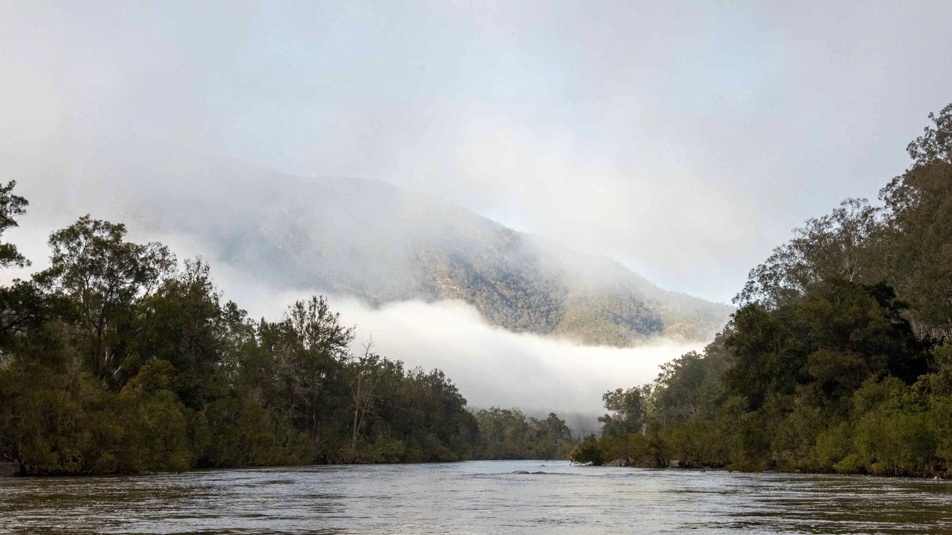 An image of the Macleay River with green hills and low-hanging clouds in the distance.