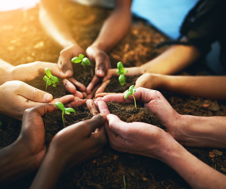 Several cupped hands holding plants in soil. The hands are arranged in a circular formation.