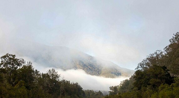 Green, misty hills against a grey sky